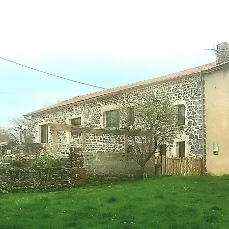 Renove Au Coeur De L'auvergne - Fr-1-582-336 *
